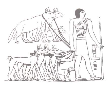 mascotas de los egipcios