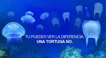 las bolsas plásticas matan mas tortugas que las redes de pesca