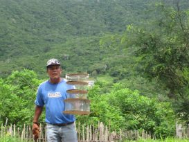 trafico de fauna silvestre en la cara de la guardia nacional bolivariana
