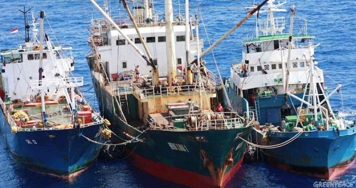 Transferir la captura permite a los barcos pesqueros evadir la ley y camuflar pesca ilegal.