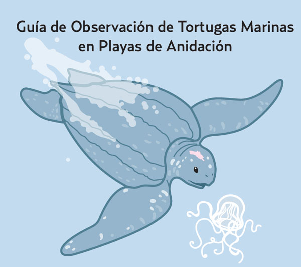 Material divulgativo elaborado por el Centro de Investigación y Tortugas Marinas (CICTMAR)