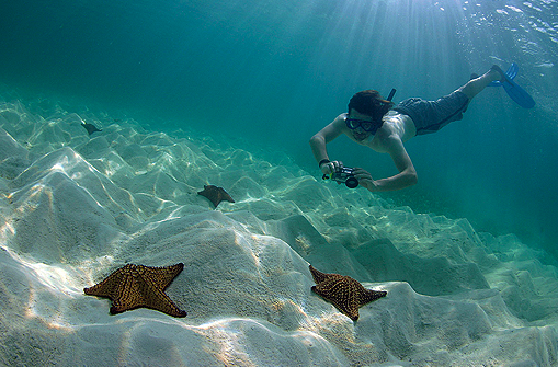 con snorkel podrás ver de cerca las estrellas de mar