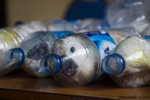 Cacatuas en botellas de plástico